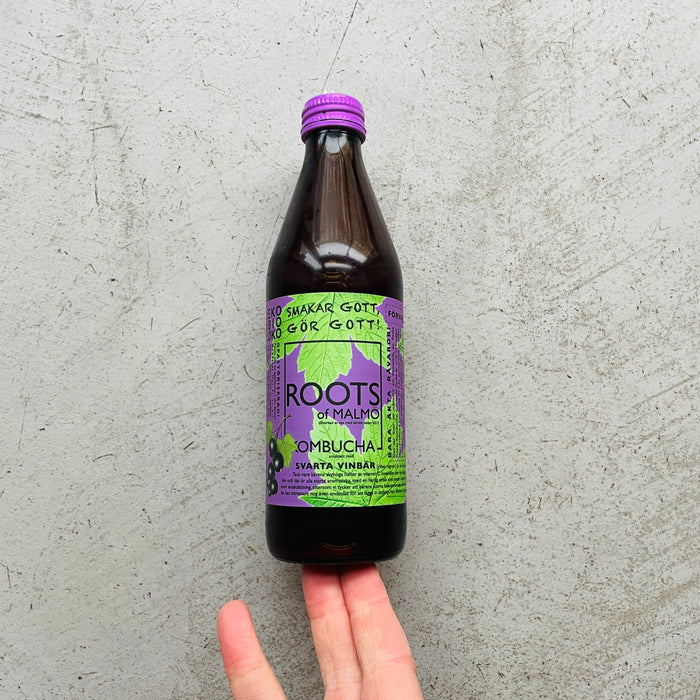 Kombucha - solbær